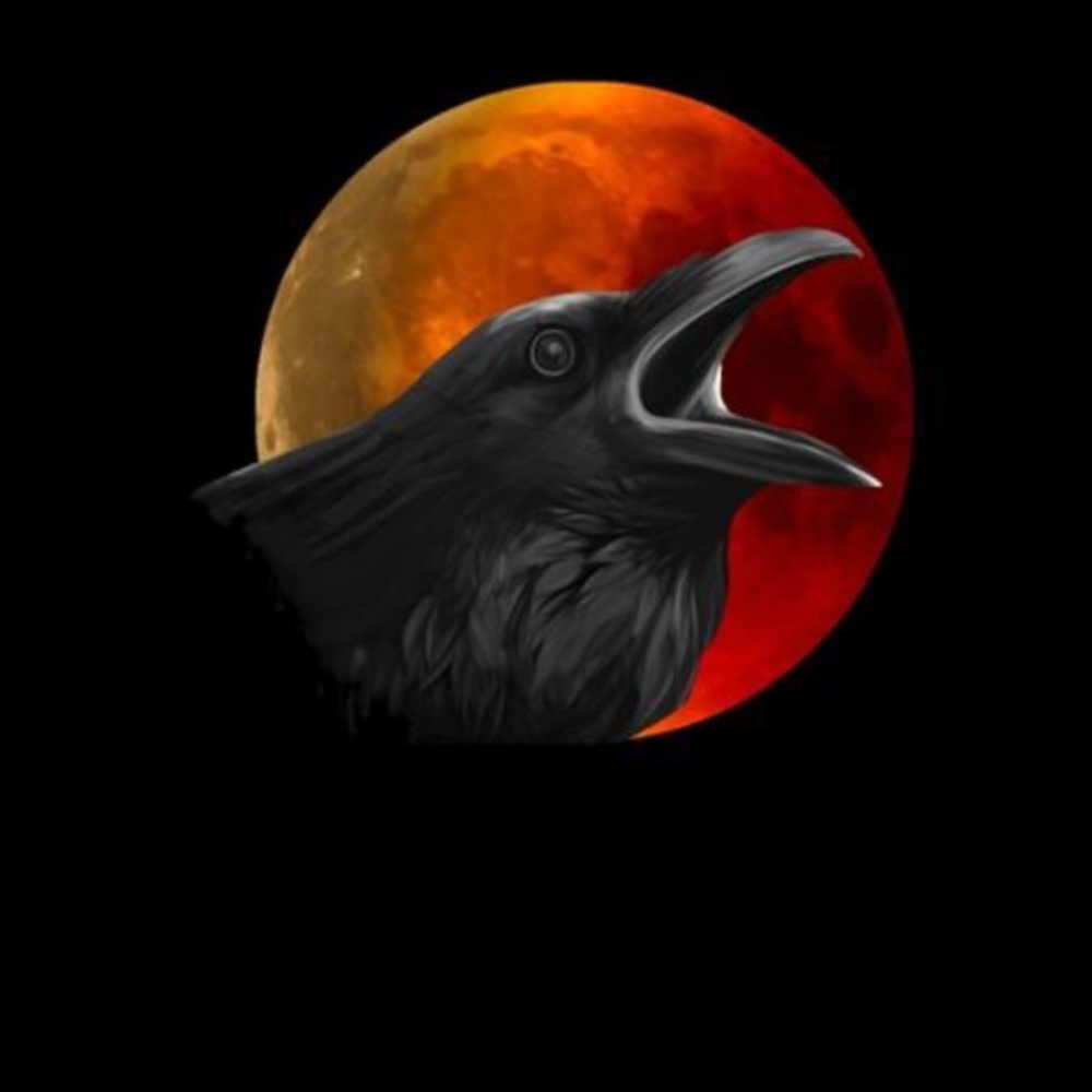 Meet your Posher, Lola